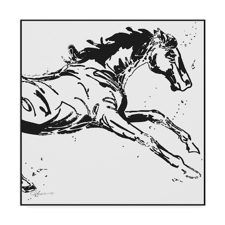 Sher Sester 'Black Scribble Horse' Canvas Art,35x35